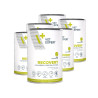 VET EXPERT RECOVERY DOG mokra karma dla psów 6x400g