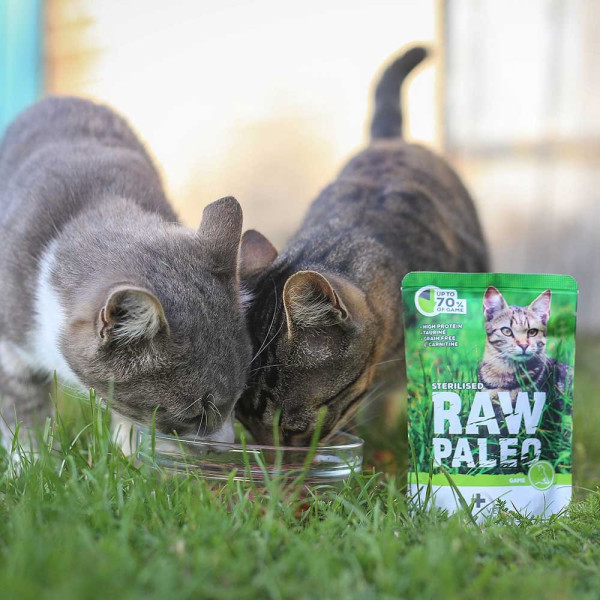 RAW PALEO Sterilised karma mokra dla kotów - dziczyzna