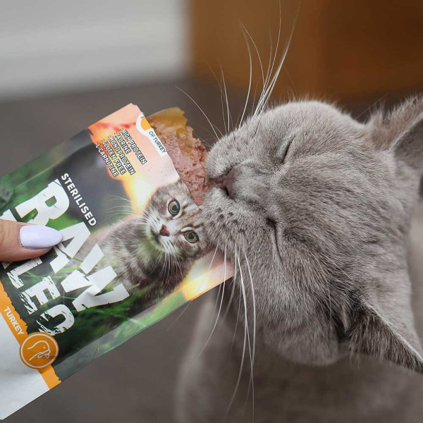 RAW PALEO Sterilised karma mokra dla kotów - indyk