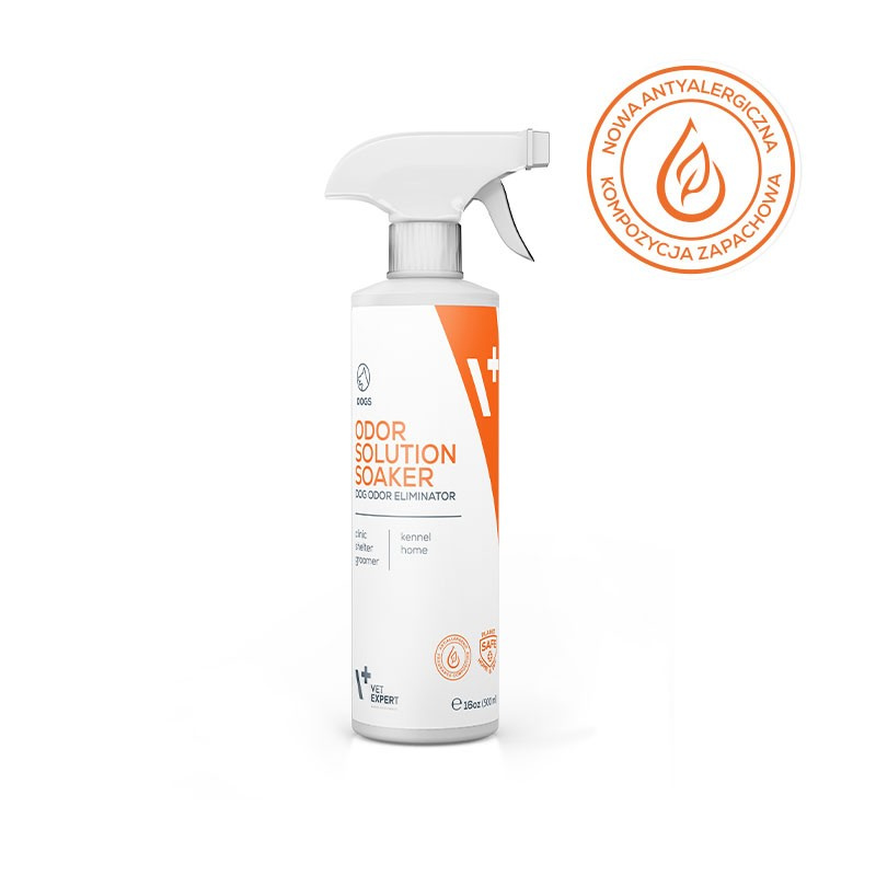 dog odor dog odor