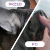 VET EXPERT STIMUDERM ULTRA SERUM – serum dermokosmetyczne dla psów