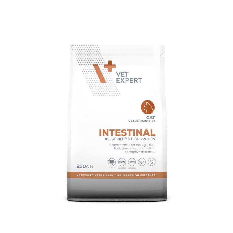 VET EXPERT INTESTINAL CAT - sucha karma weterynaryjna dla kotów VET EXPERT INTESTINAL CAT - sucha karma weterynaryjna dla kotów