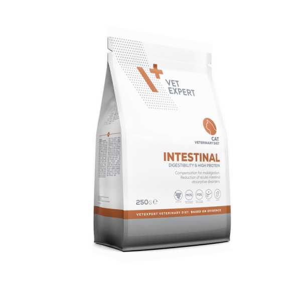 VET EXPERT INTESTINAL CAT - sucha karma weterynaryjna dla kotów