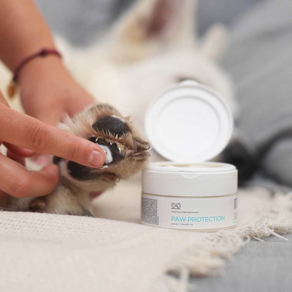 Paw Protection