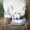 RAW PALEO ADULT DOG TURKEY 12x400g - mokra karma dla psów dorosłych monoproteina z indykiem