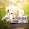 RAW PALEO ADULT DOG TURKEY 12x400g - mokra karma dla psów dorosłych monoproteina z indykiem