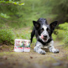 RAW PALEO PUPPY BEEF 400g - mokra karma dla szczeniąt monoproteina z wołowiną