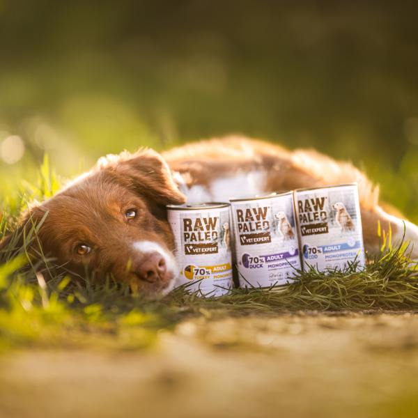 RAW PALEO ADULT DOG DUCK 400g - mokra karma dla psów dorosłych monoproteina z kaczką