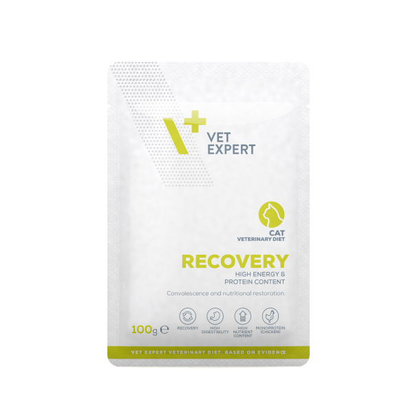 VET EXPERT RECOVERY CAT 12x100g - mokra karma weterynaryjna dla kotów w okresie rekonwalescencji