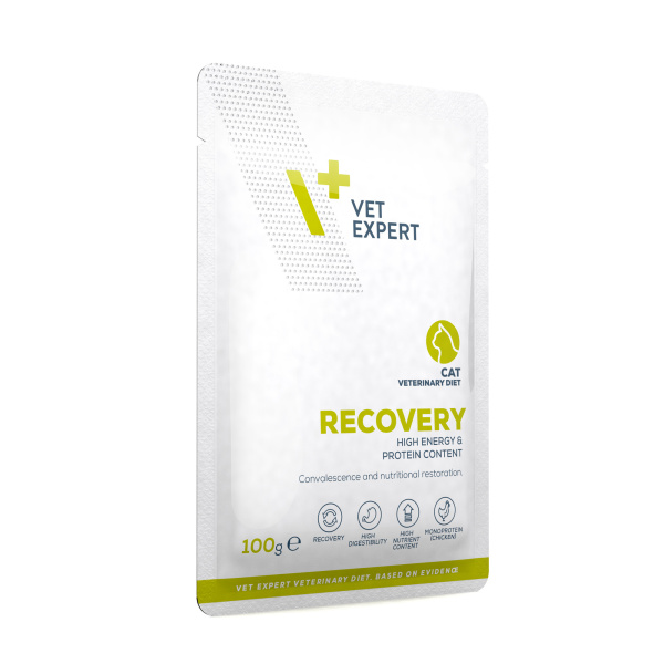 VET EXPERT RECOVERY CAT 12x100g - mokra karma weterynaryjna dla kotów w okresie rekonwalescencji