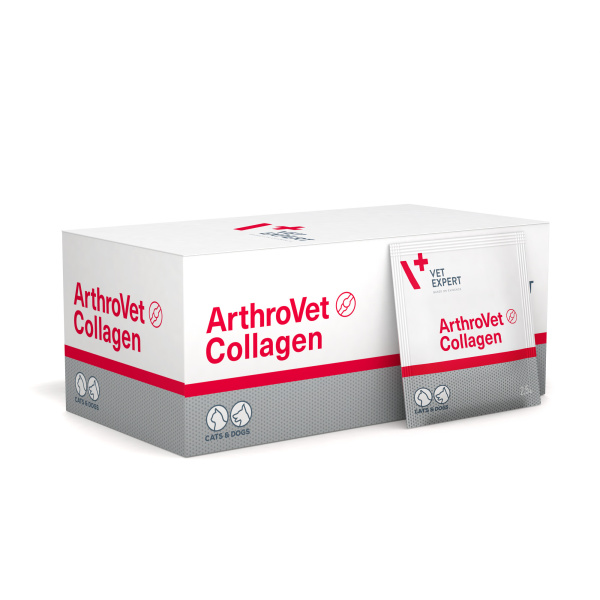 VET EXPERT ARTHROVET COLLAGEN - preparat z kolagenem na stawy dla psów i kotów