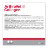VET EXPERT ARTHROVET COLLAGEN - preparat z kolagenem na stawy dla psów i kotów