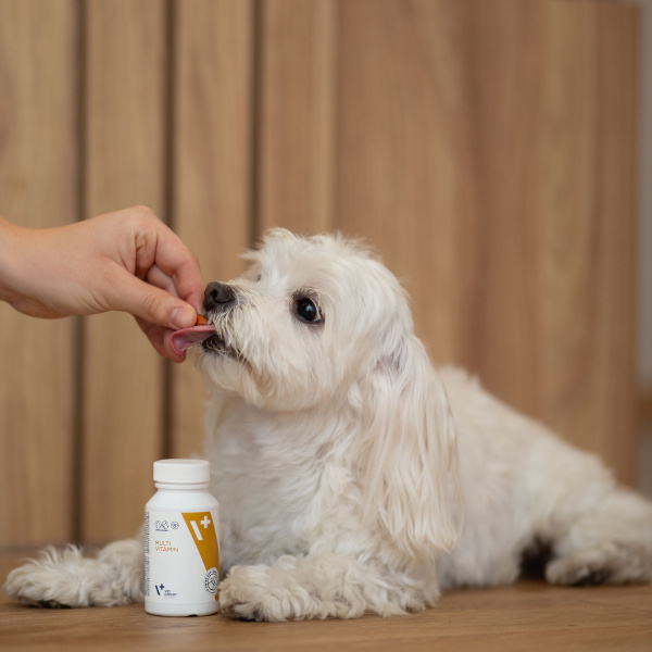 VET EXPERT MULTIVITAMIN - preparat witaminowo-mineralny dla psów i kotów