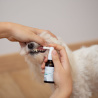 VET EXPERT STOMAFERIN ULTRA – specjalistyczny preparat do jamy ustnej dla psów i kotów 30 ml