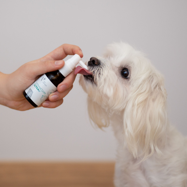 VET EXPERT STOMAFERIN ULTRA – specjalistyczny preparat do jamy ustnej dla psów i kotów 30 ml
