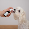 VET EXPERT STOMAFERIN ULTRA – specjalistyczny preparat do jamy ustnej dla psów i kotów 30 ml