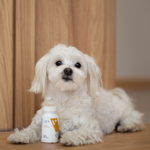 VET EXPERT MULTIVITAMIN - preparat witaminowo-mineralny dla psów i kotów
