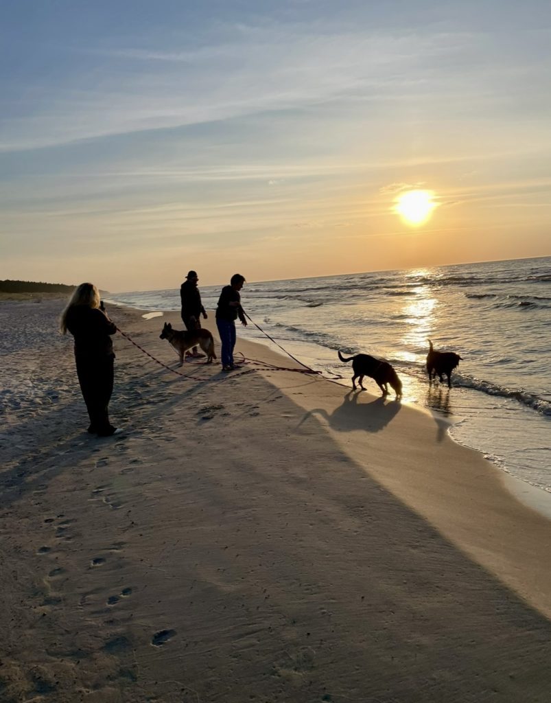 Spacer z psem po plaży. Fot. Agnieszka Szperna