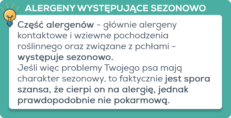 Alergeny sezonowe u psów