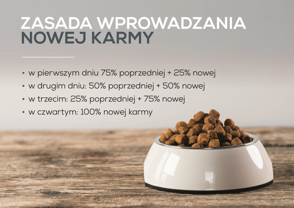 Szczeniak trzymający w pysku miskę