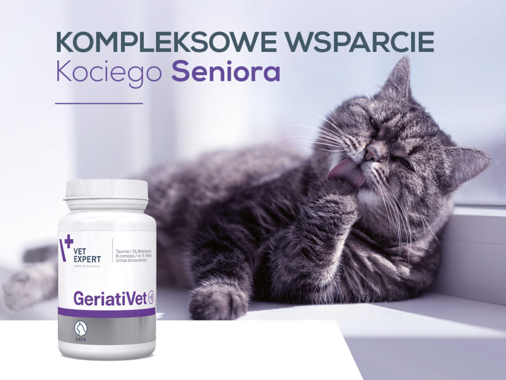 VET EXPERT GERIATIVET CAT - kompleksowe wsparcie kociego seniora