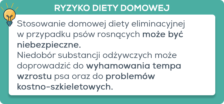 Jakie ryzyko niesie stosowanie diety domowej