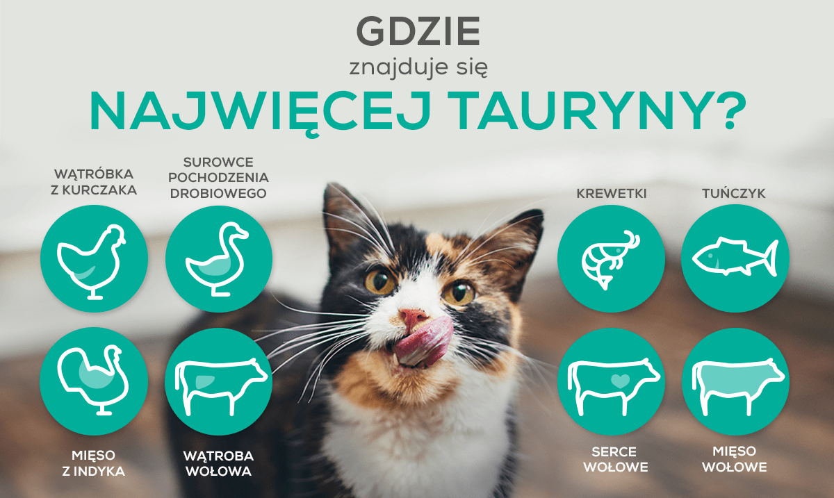Źródła tauryny w diecie