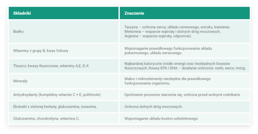 Składniki w diecie kota seniora i ich znaczenie dla zdrowia