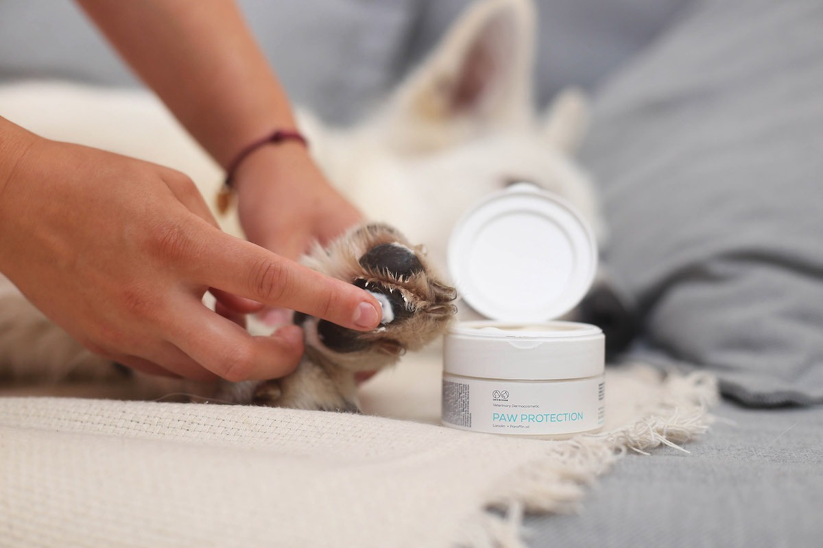Maść ochronna VET EXPERT Paw Protection dla psów