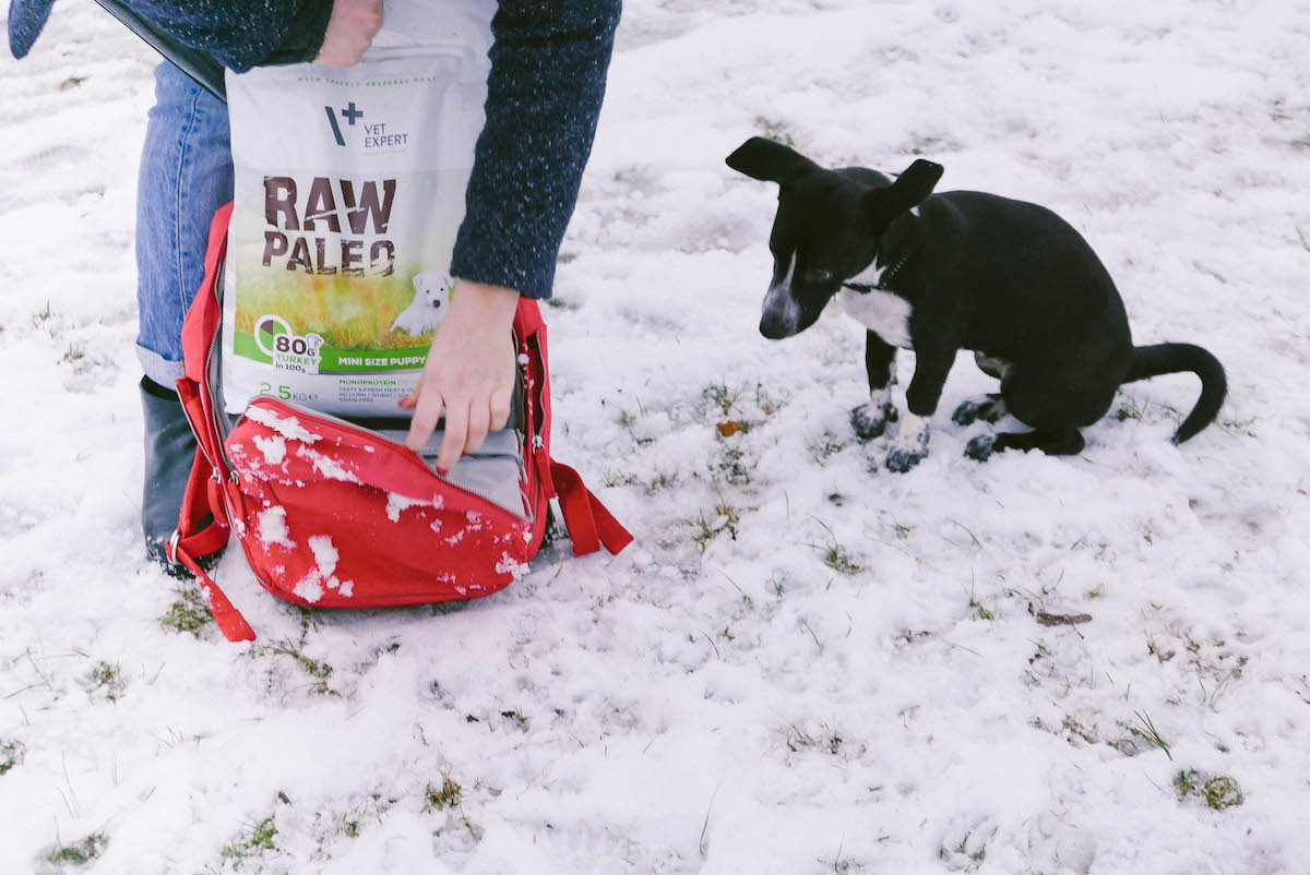 Karma dla szczeniaka RAW PALEO