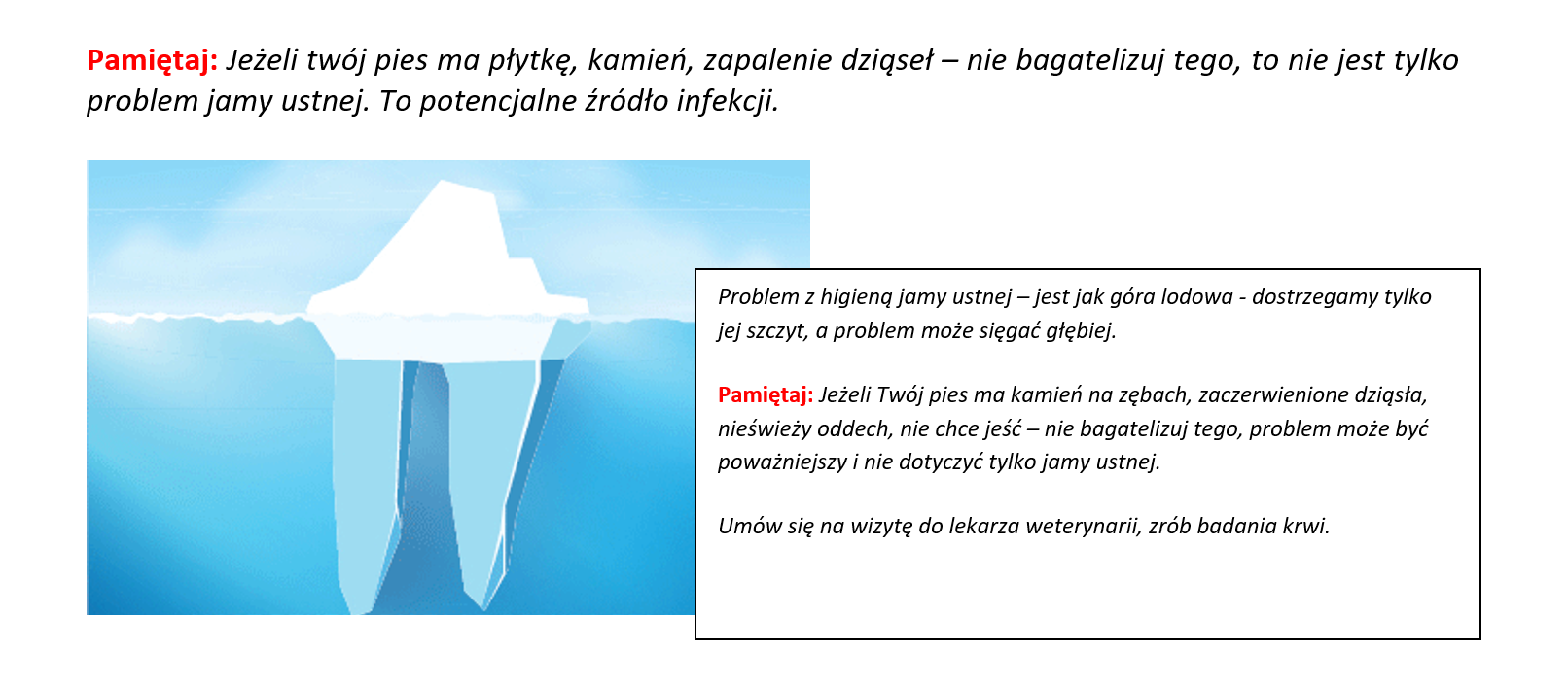 Płytka nazębna i kamień nazębny to potencjalne źródła infekcji